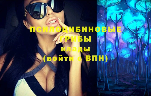 трава Инсар