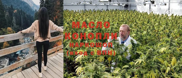 не бодяженный Иннополис