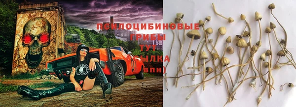 трава Инсар