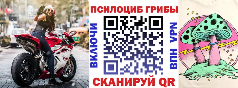 Псилоцибиновые грибы прущие грибы  Купить  Николаевск 